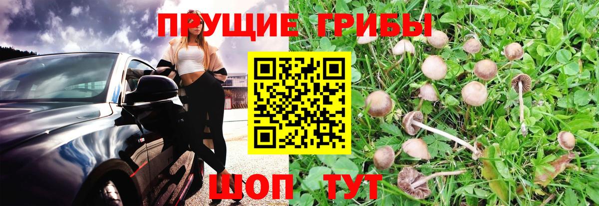 Галлюциногенные грибы Magic Shrooms Лянтор