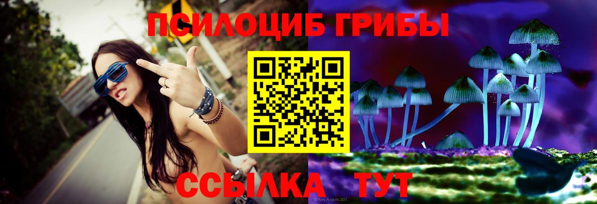 Лянтор  Псилоцибиновые грибы GOLDEN TEACHER  Вход с VPN  Галлюциногенные грибы Cubensis 